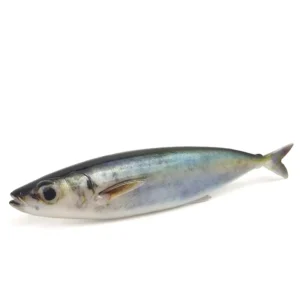 custom 3D print silicone mackerel fish lure